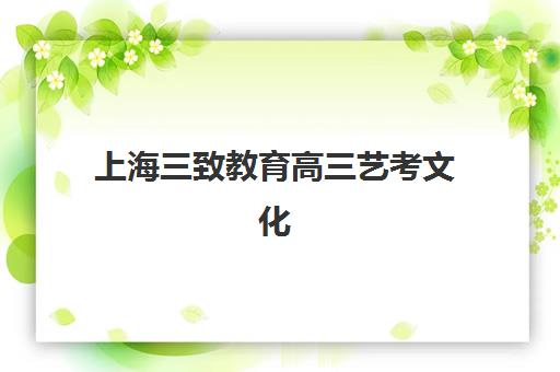 上海三致教育高三艺考文化课补习学校集训费用多少钱？2025年收费标准全面解析与班型选择性价比深度评估指南