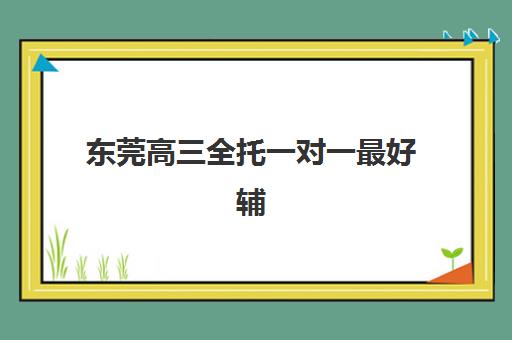 东莞高三全托一对一最好辅导学校排名如何查询？2025年最新权威榜单解析与高性价比择校实战全指南