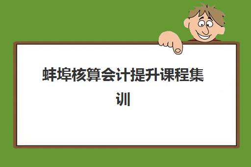 蚌埠核算会计提升课程集训营排名榜单最新如何查询？2025年权威排名、择校指南与成功案例全解析