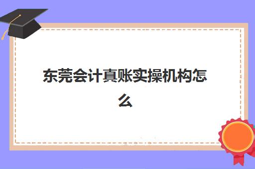 石家庄初级会计职称精讲课程时间2025年具体时间如何安排？最新课程表、机构选择与备考规划全指南