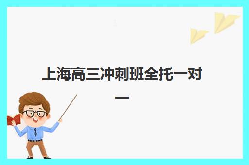 上海高三冲刺班全托一对一最容易的大学排名如何查询？2025年权威榜单、培训机构选择与升学规划全攻略