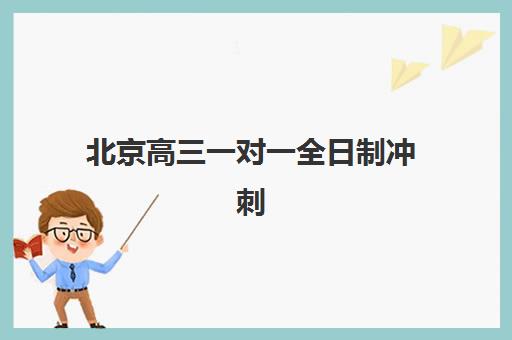 北京高三一对一全日制冲刺培训机构如何选择最强平台？2025年最新权威排名、择校核心要素与成功案例全解析