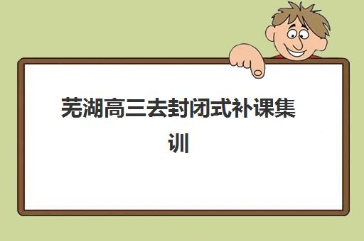 芜湖高三去封闭式补课集训营哪个比较好？2025年排名前十机构深度评测与择校指南