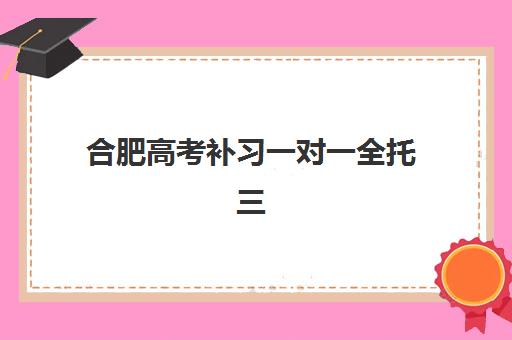 合肥高考补习一对一全托三大公办机构特色如何对比？2025年最新权威排名与个性化择校全攻略