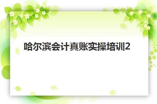 哈尔滨会计真账实操培训2025年考试时间公布，最新收费标准与备考全攻略